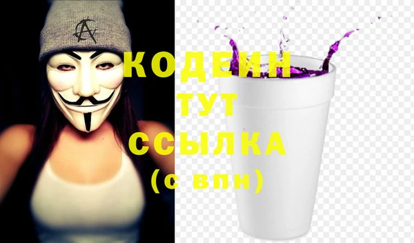 молекула духа Каменногорск