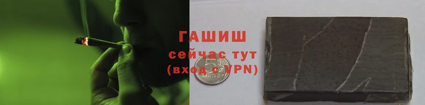 молекула духа Каменногорск