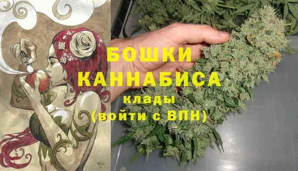 молекула духа Каменногорск