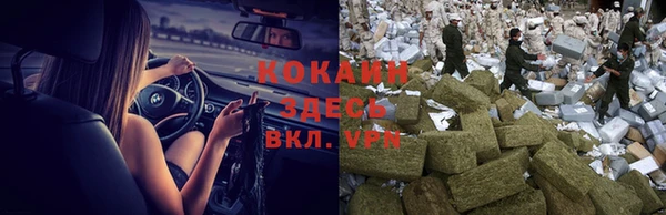 молекула духа Каменногорск