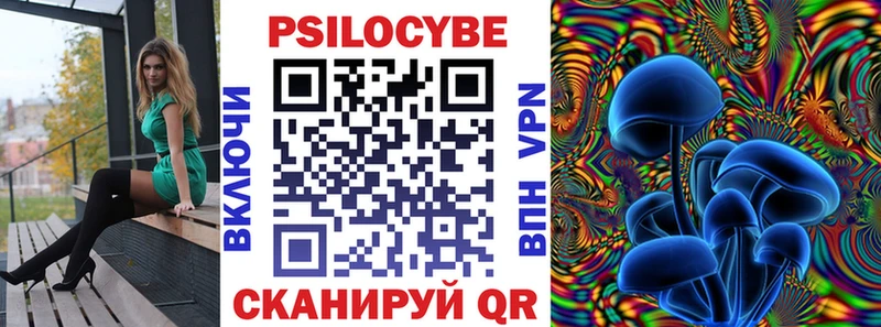 Купить где  Константиновск  Псилоцибиновые грибы Magic Shrooms 